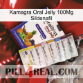 Kamagra Oral Jelly 100Mg Sildenafil 11